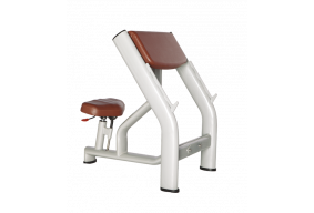 Скамья Скотта BRONZE GYM H-040A (КОРИЧНЕВЫЙ)