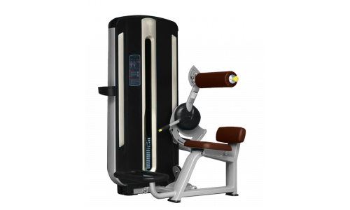 Разгибание спины BRONZE GYM MNM-009 