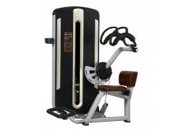 Пресс-машина BRONZE GYM MNM-010 
