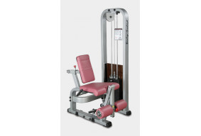 Разгибание ног сидя Body Solid ProClub SLE-200G