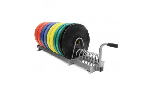 Стойка для дисков Fitnessport DR-04