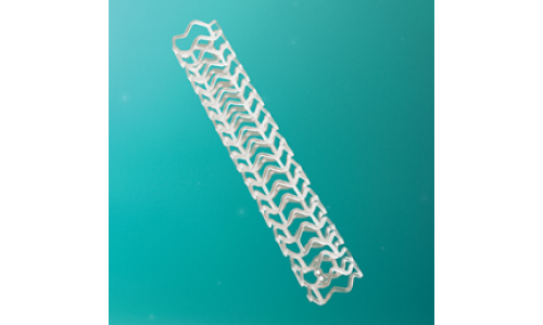 Коронарный стент Absorb   
