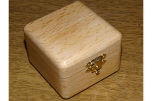 Линза Гольдмана