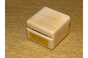 Линза Гольдмана