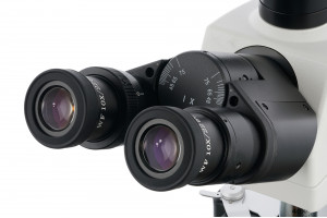 Микроскоп цифровой Levenhuk MED D40T LCD, тринокулярный