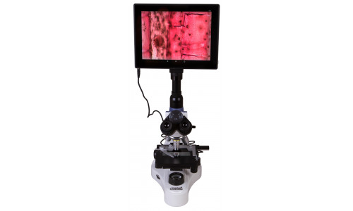 Микроскоп цифровой Levenhuk MED D10T LCD, тринокулярный