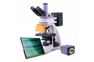 Микроскоп люминесцентный цифровой MAGUS Lum D400 LCD